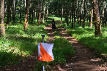 finish orienteering